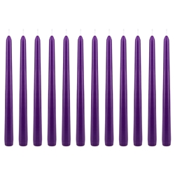 Mega Candles - 12 pcs 10" Unscented Taper Candle in White Box - Dark Purple
